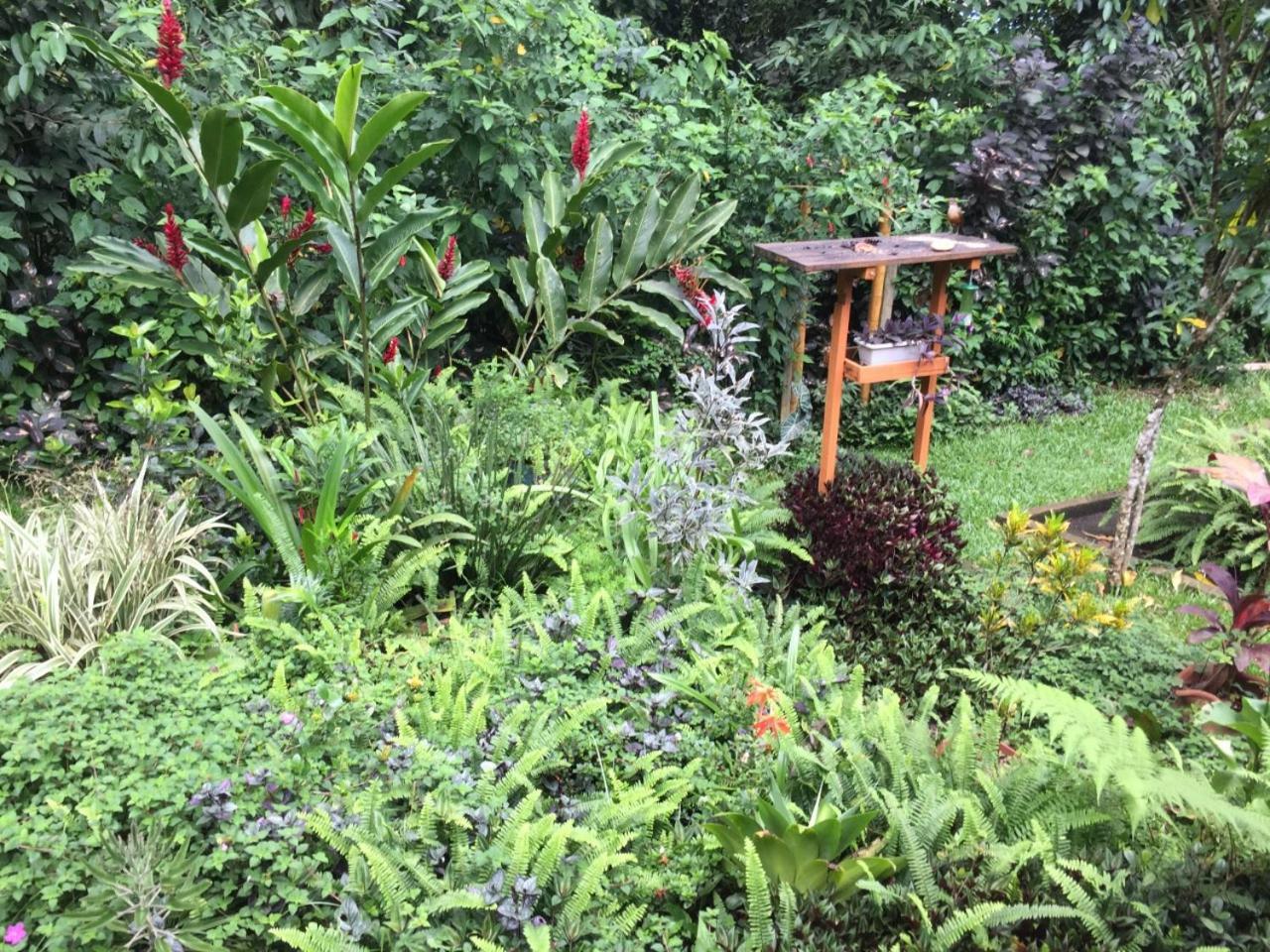 Casa Arariba - Ilha Grande - Илья-Гранди Экстерьер фото