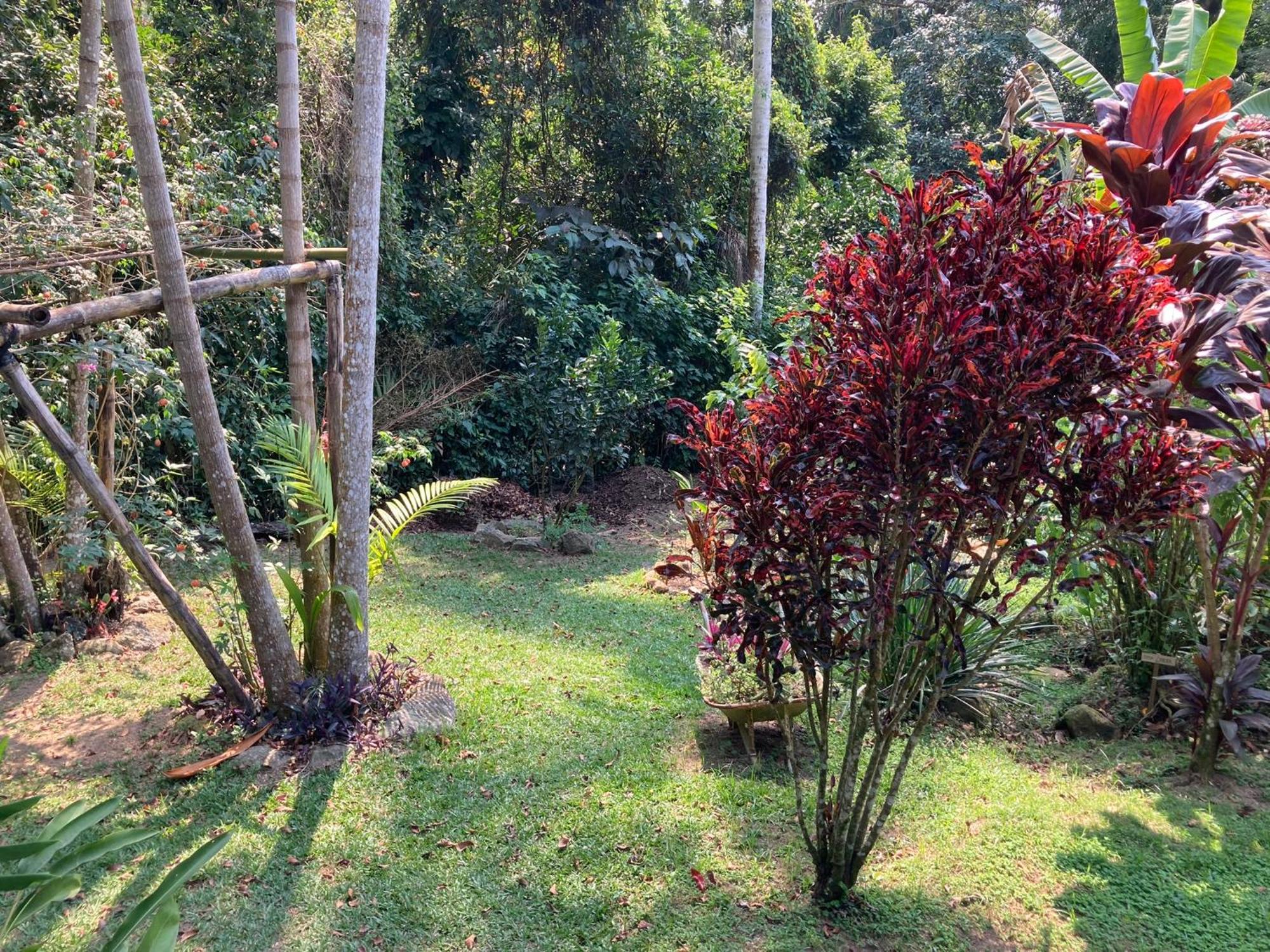 Casa Arariba - Ilha Grande - Илья-Гранди Экстерьер фото