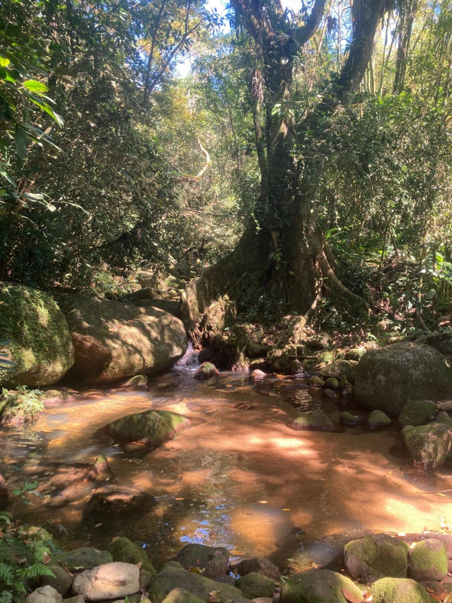 Casa Arariba - Ilha Grande - Илья-Гранди Экстерьер фото